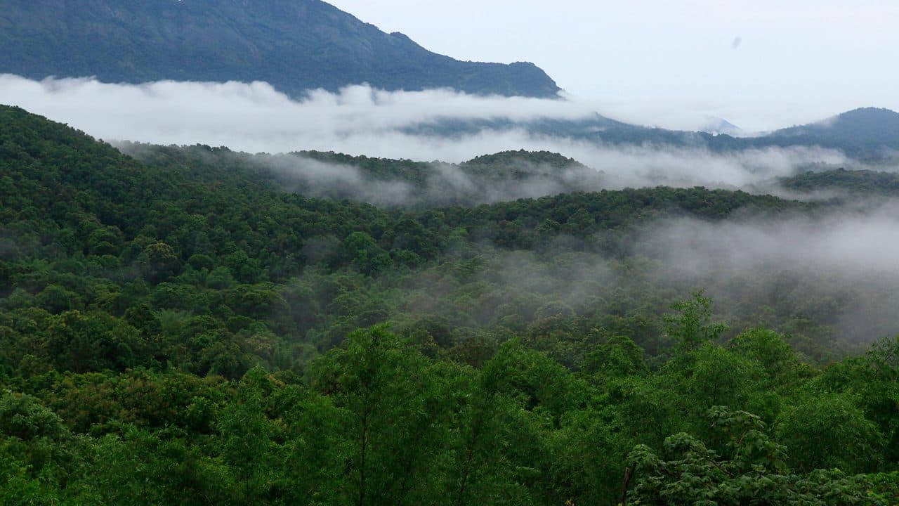 Silent Valley National Park (Mukkali)